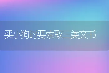 买小狗时要索取三类文书