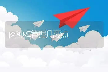 肉种鸡管理几要点