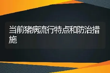 当前猪病流行特点和防治措施