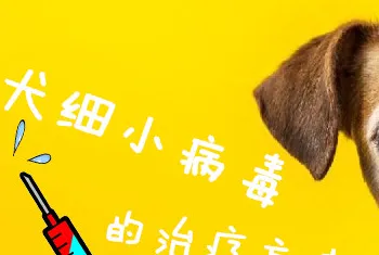 犬细小病毒的治疗方法