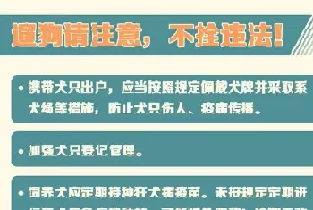 5月1日起正式实施!遛狗不牵狗绳被视为违法行为!