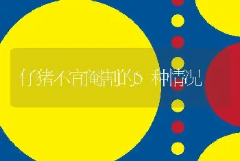 仔猪不宜阉割的5种情况