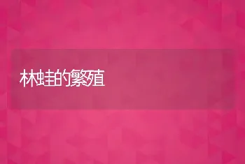 秋季开产蛋鸡饲养技术