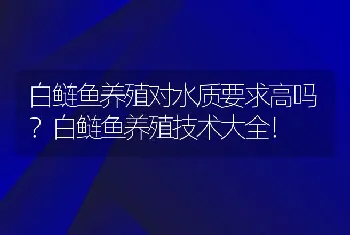 白鲢鱼养殖对水质要求高吗？白鲢鱼养殖技术大全！