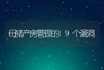 母猪产房管理的19个漏洞