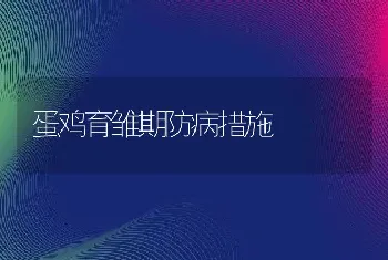 蛋鸡育雏期防病措施