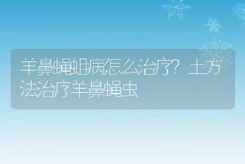 鳝鱼养殖中如何防止鳝鱼缺氧死亡