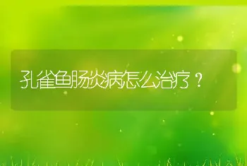 孔雀鱼肠炎病怎么治疗？