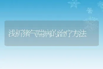 浅析猪气喘病的治疗方法