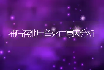 捕后存池甲鱼死亡原因分析