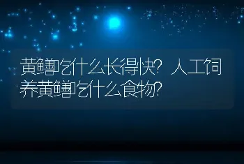 黄鳝吃什么长得快？人工饲养黄鳝吃什么食物？