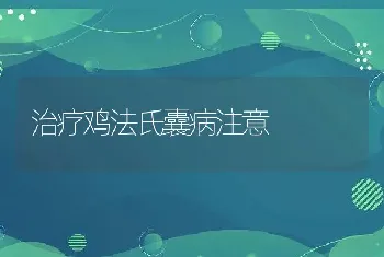 治疗鸡法氏囊病注意