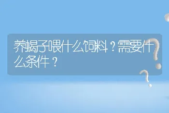 养蝎子喂什么饲料？需要什么条件？