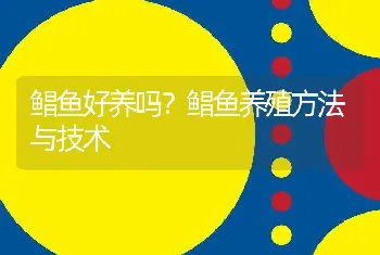 鲳鱼好养吗？鲳鱼养殖方法与技术