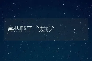 暑热鸭子“发痧”