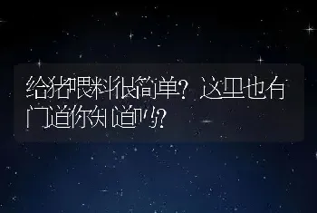 给猪喂料很简单？这里也有门道你知道吗？