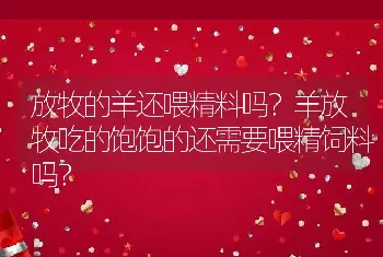 放牧的羊还喂精料吗？羊放牧吃的饱饱的还需要喂精饲料吗？