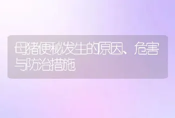 母猪便秘发生的原因、危害与防治措施