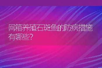 网箱养殖石斑鱼的防病措施有哪些？