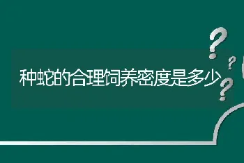 种蛇的合理饲养密度是多少