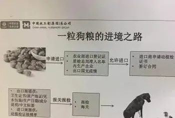 如何办理进口宠物粮手续