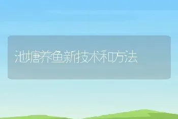 池塘养鱼新技术和方法