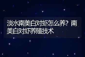 淡水南美白对虾怎么养？南美白对虾养殖技术