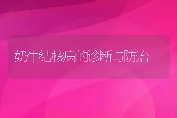 奶牛结核病的诊断与防治