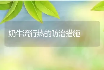 奶牛流行热的防治措施