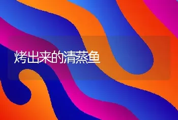 烤出来的清蒸鱼