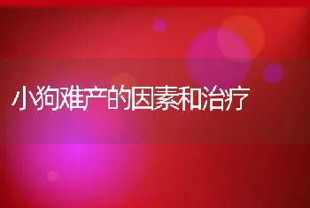 小狗难产的因素和治疗