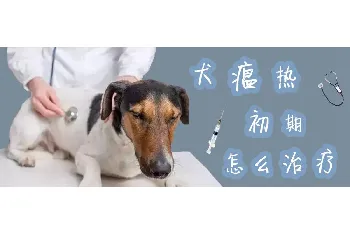 犬瘟热初期怎么治疗