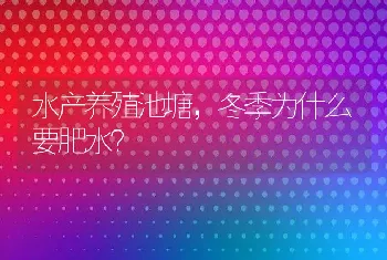 水产养殖池塘，冬季为什么要肥水？