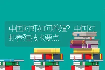 中国对虾如何养殖？中国对虾养殖技术要点