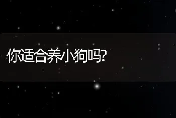 你适合养小狗吗?