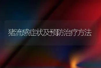 猪流感症状及预防治疗方法