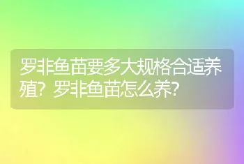 罗非鱼苗要多大规格合适养殖？罗非鱼苗怎么养？