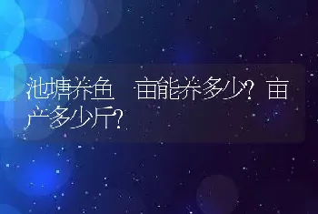 池塘养鱼一亩能养多少？亩产多少斤？