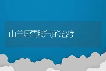 山羊瘤胃膨气的治疗