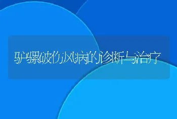 驴骡破伤风病的诊断与治疗