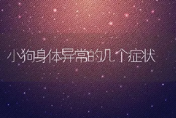 小狗身体异常的几个症状