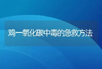 鸡一氧化碳中毒的急救方法