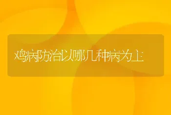 鸡病防治以哪几种病为主