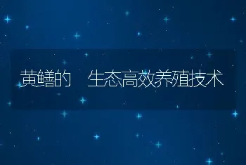 黄鳝的 生态高效养殖技术