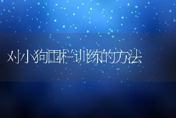 对小狗围栏训练的方法