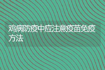 鸡病防疫中应注意疫苗免疫方法