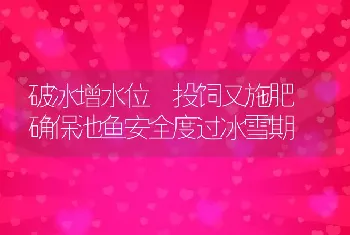 破冰增水位 投饲又施肥 确保池鱼安全度过冰雪期
