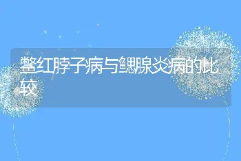 鳖红脖子病与鳃腺炎病的比较