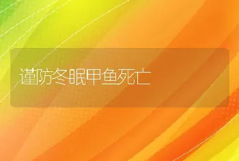 谨防冬眠甲鱼死亡