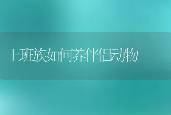 上班族如何养伴侣动物